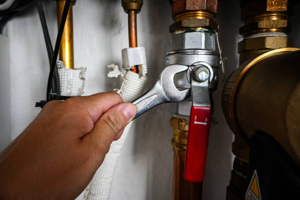 Best Commercial Plumbing Services  in Coronita, CA